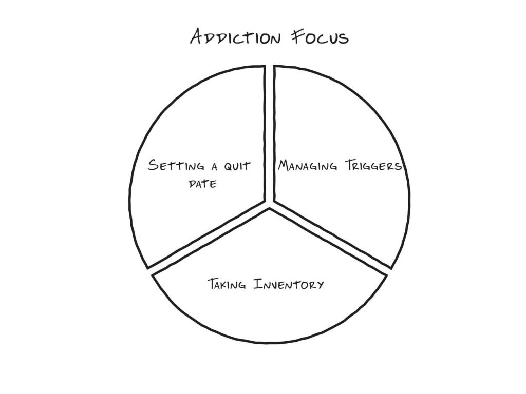 Addiction Focus - The Sobriety Success Method